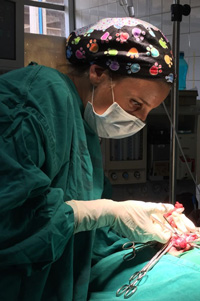 Dr. Maria Santos performs surgery