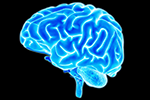 Test Your Brain and Spine Smarts