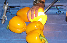 Mentoring in Medicine: Students used endoscopes on peppers