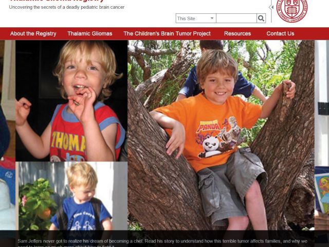 The Samuel Jeffers Childhood Cancer Foundation will fund a summer fellow for thalamic glioma research.