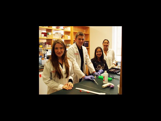 Rachel Yanowitch, Jared Bassett, Tina Bharani, and Emilie George