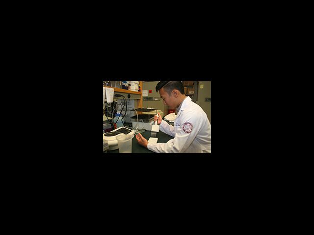 Raymond Chang Wins ABTA Award for Summer Sprint