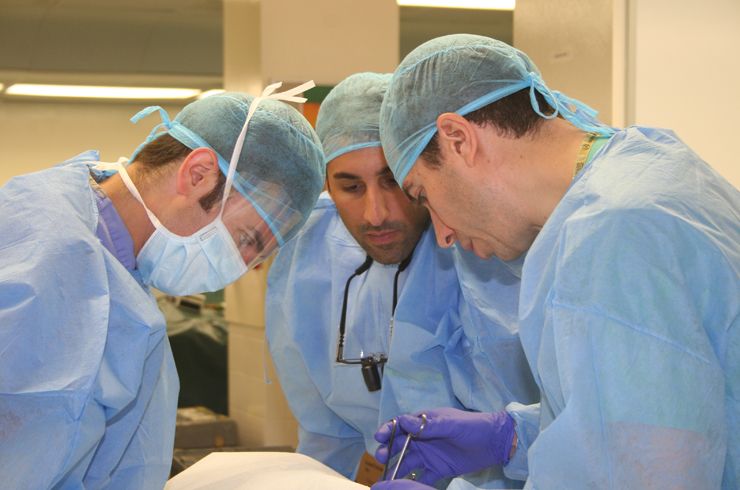 Residents work together at a cadaver station