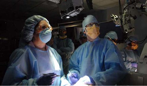 Students check the 3D monitor above the workstation for dissection help