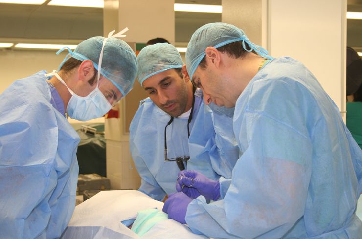 Residents work together at a cadaver station