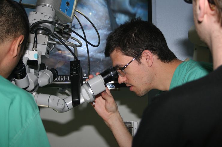 Teaching microsurgical techniques in the Surgical Innovations Lab