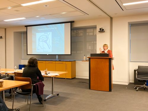 Dr. Mary Hibbard presents the neurocognitive, behavioral, and emotional aspects of TBI in adults