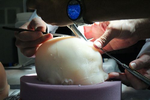 The lifelike models provide a unique training opportunity