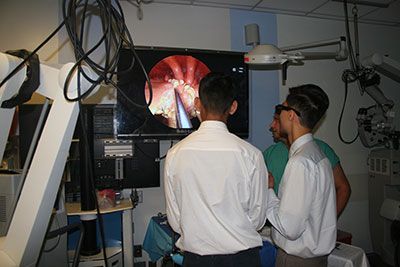 Students watch on the monitor as they navigate to seeds