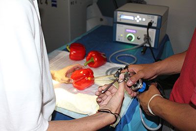 Students successfully insert the endoscope into the pepper