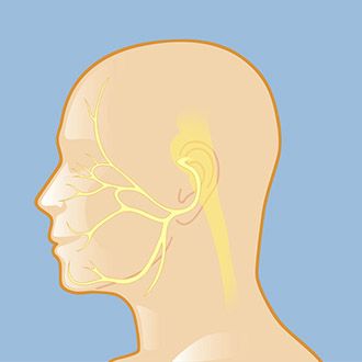 The seventh cranial nerve affects sensation across a broad area of the face — pressure on that nerve can cause the uncomfortable condition called hemifacial spasm.