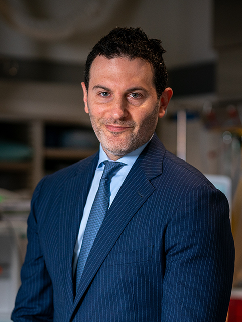 Jared Knopman, MD