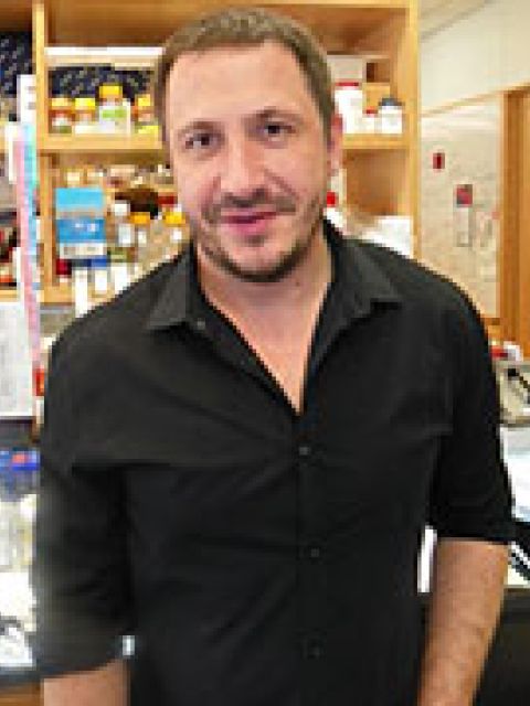 Sergei Musatov