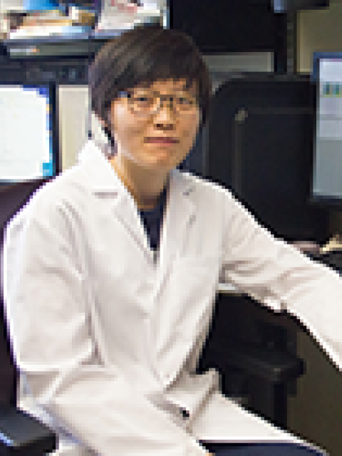 Jing Li, MD