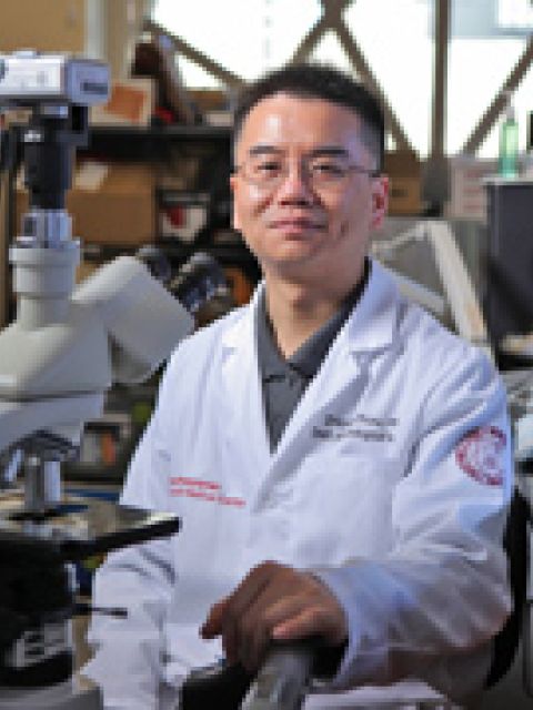 Zhiping Zhou, Ph.D.